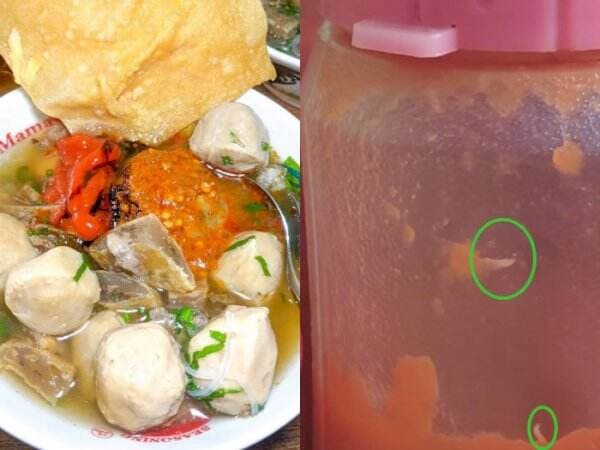 Apes! Sudah Selesai Makan Bakso, Cewek Ini Baru Sadar Ada Belatung Hidup di Botol Saos