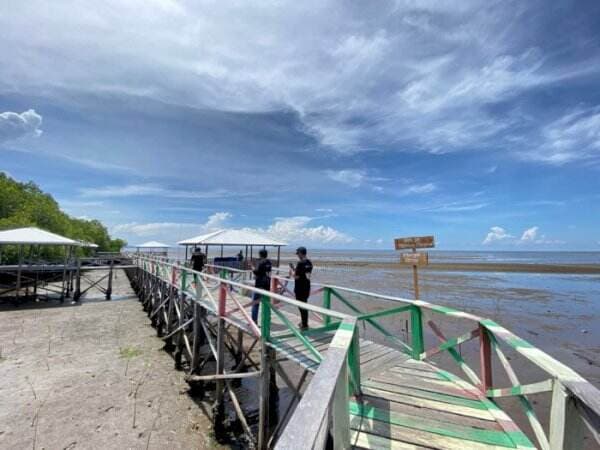 Menyusuri Indahnya Hutan Mangrove Luppung, Spot Berburu Sunset Favorit di Bulukumba