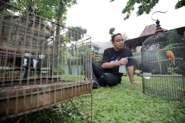 Ini Kegiatan Anies Di Hari Pertamanya Sebagai Warga Biasa Mulai Dari Ke Sekolah Anak Sampai Mandiin Burung Ini Kegiatan Anies Di Hari Pertamanya Sebagai Warga Biasa Mulai Dari Ke Sekolah Anak Sampai Mandiin Burung