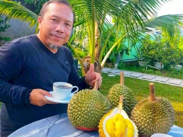 Petani Riau Sukses Budidaya Black Thorn, Durian Sultan yang Harganya Bikin Tercengang