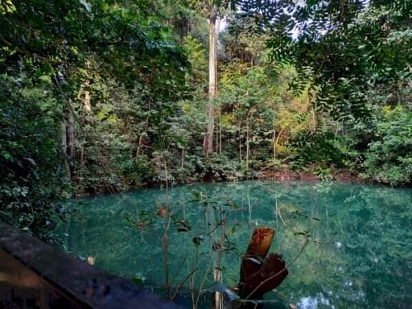 Misteri Telaga Buret Tulungagung, Konon Ada Ikan Lele Tanpa Daging Bisa Hidup di Sini!