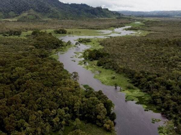 Aneh Banget! Ada Rawa Berada di Atas Ketinggian, View-nya Mirip Sungai Amazon