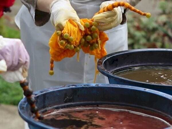 Mengenal Shibori, Teknik Pewarnaan Kain ala Jepang yang Bikinnya Ternyata Cukup Rumit