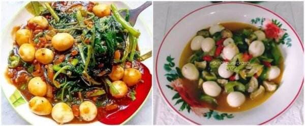 11 Resep olahan telur puyuh campur sayur, enak dan sederhana 11 Resep olahan telur puyuh campur sayur, enak dan sederhana