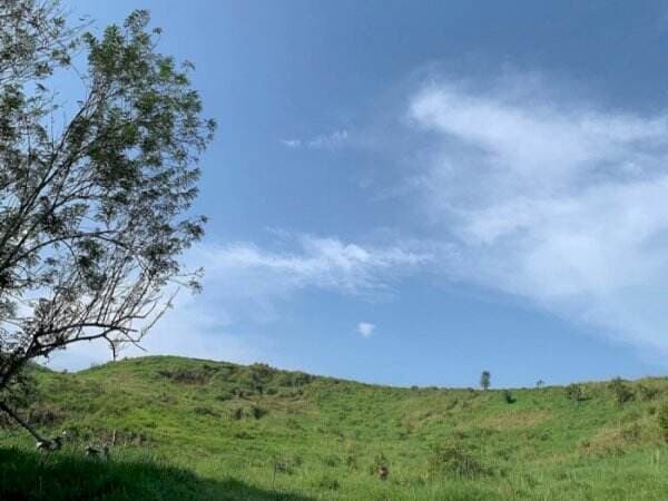 Bogor Punya Savana yang Mirip Banget Kayak di Luar Negeri! Pecinta Hiking Wajib ke Sini!