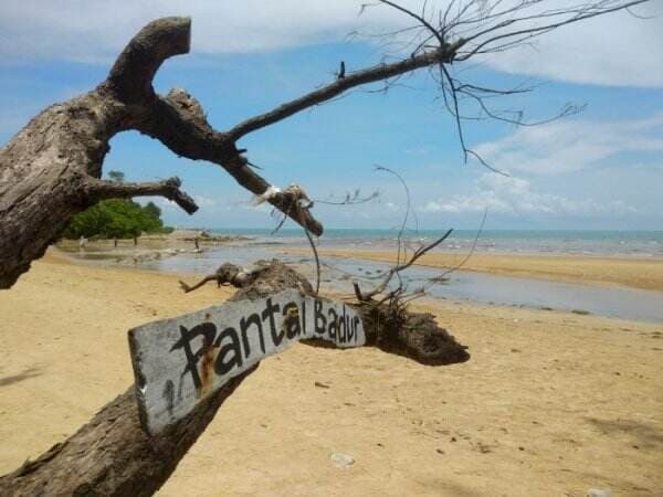 Menggemparkan! Sumenep Punya Pantai Berair Tawar dan Laut, Gimana Ceritanya?