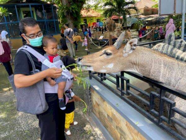 Cuma Bayar Rp15 Ribu, Madiun Umbul Square Tawarkan Wisata ala Taman Safari Versi Mini Cuma Bayar Rp15 Ribu, Madiun Umbul Square Tawarkan Wisata ala Taman Safari Versi Mini