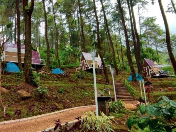 Locca Lodge, Camping ala Sultan di Mojokerto Bertabur Fasilitas Penuh Kemewahan