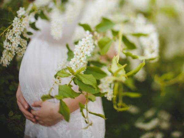 12 Rekomendasi Makanan Penyubur Kandungan agar Cepat Hamil 12 Rekomendasi Makanan Penyubur Kandungan agar Cepat Hamil