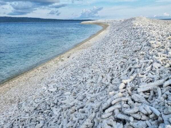 Masya Allah! Pantai di Selayar Ini Punya Karang Putih Menjorok ke Laut yang Mengagumkan