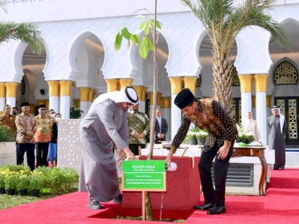 Ada Makna Tersembunyi di Balik Pohon Sala yang Ditanam Jokowi di Masjid Sheikh Zayed Solo