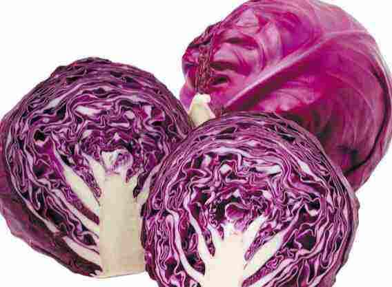 7 Manfaat Kol Ungu untuk Kesehatan, Warnanya Cantik dan Banyak Khasiatnya! 7 Manfaat Kol Ungu untuk Kesehatan, Warnanya Cantik dan Banyak Khasiatnya!