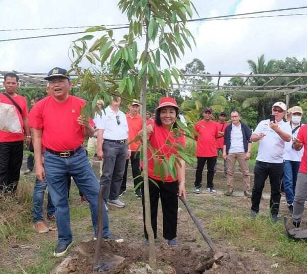 Upaya Menjaga Alam, Cornelis Adakan Gerakan Menanam Pohon