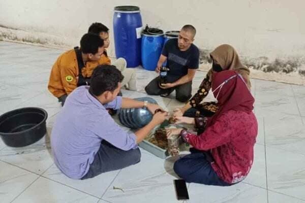 Tips Mengolah Limbah Singkong Jadi Pakan Ternak, Dosen Unej: Diolah Dulu Tips Mengolah Limbah Singkong Jadi Pakan Ternak, Dosen Unej: Diolah Dulu