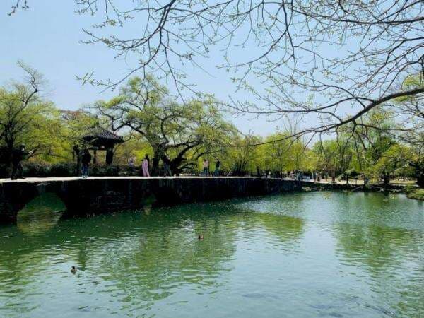 Fakta Unik Gwanghalluwon, Taman Terbaik di Korea Selatan Kerap Jadi Lokasi Syuting Fakta Unik Gwanghalluwon, Taman Terbaik di Korea Selatan Kerap Jadi Lokasi Syuting