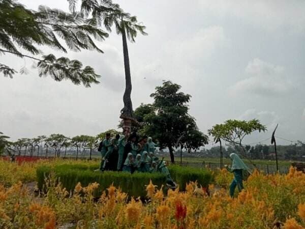 Nangkula Park, Ikon Baru Wisata Alam di Tulungagung yang Bertabur Bunga Celosia