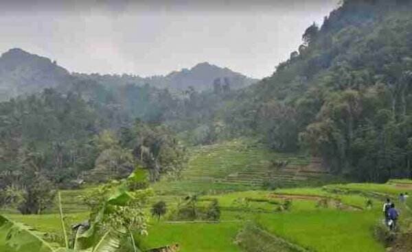 Fenomena Desa Wisata, Kini Jadi Tren di Daerah Kabupaten Bogor