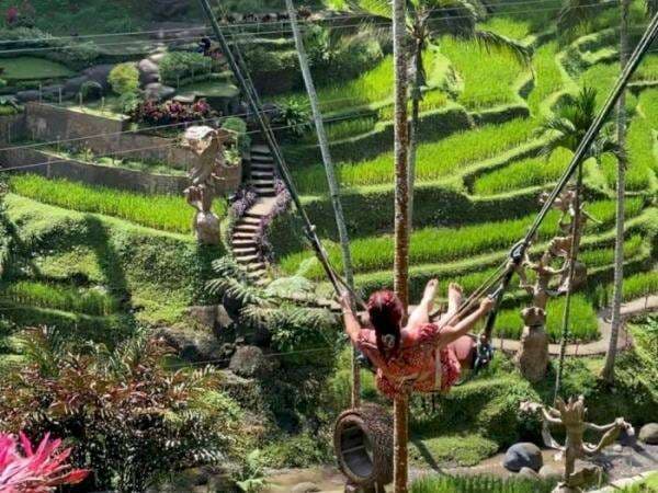 Uji Nyali di Alas Harum Bali: Naik Ayunan Ekstrem dengan Ketinggian 25 Meter, Berani Coba? Uji Nyali di Alas Harum Bali: Naik Ayunan Ekstrem dengan Ketinggian 25 Meter, Berani Coba?