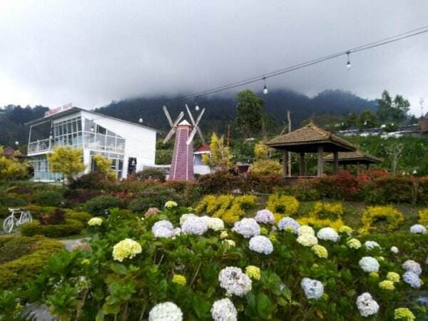 Merapi Garden, Taman Bunga di Boyolali yang Berada di Sela-sela 2 Gunung, View-nya Memukau