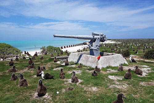 Midway Atoll Saksi Peperangan Amerika dan Jepang, Kini Jadi Tempat Konservasi