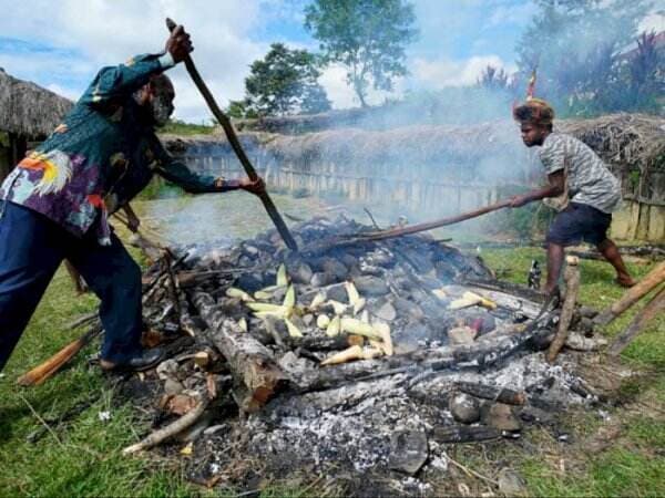 Mengenal Tradisi &#39;Upacara Bakar Batu&#39; di Papua dalam Perayaan Hari Natal