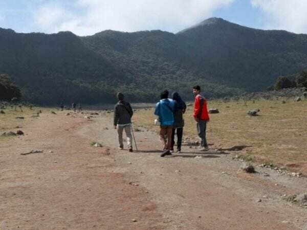 Enggak Terlalu Tinggi dan Track Aman, Gunung Gede Pangrango Cocok Buat Pendaki Pemula