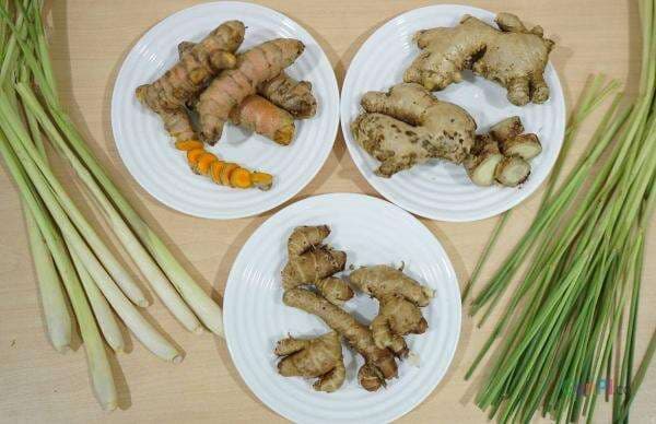 Herbal dr. Zaidul Akbar, Manfaat Ramuan Jahe, Serai, Kunyit, Lengkuas Dahsyat Herbal dr. Zaidul Akbar, Manfaat Ramuan Jahe, Serai, Kunyit, Lengkuas Dahsyat