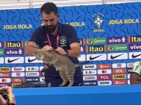 Timnas Brasil Kalah Lawan Krosia, Wargnet: Azab Lempar Kucing Timnas Brasil Kalah Lawan Krosia, Wargnet: Azab Lempar Kucing