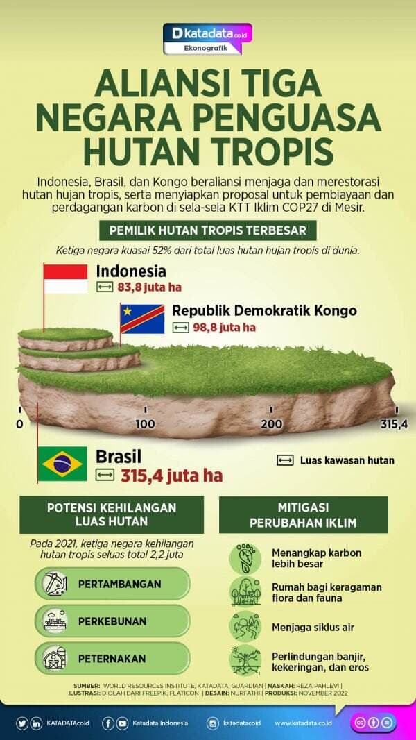 Aliansi Tiga Negara Penguasa Hutan Tropis