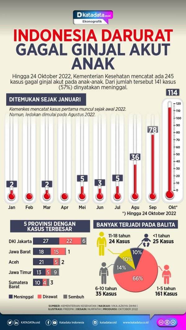 Indonesia Darurat Kasus Gagal Ginjal Akut Anak