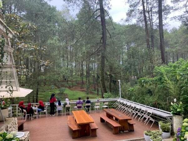 Rekomendasi Ngopi di Tengah Hutan Pinus Lembang, Udaranya Sejuk Tempatnya Instagramable!