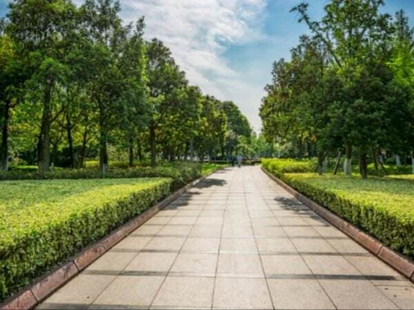 Suasana Hijau Hutan Kota Sragen, Asyik Buat Healing