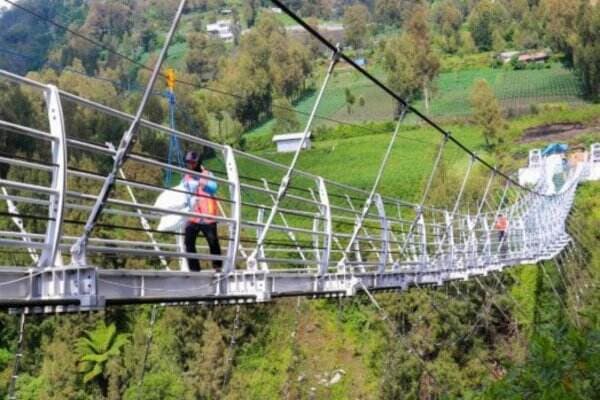 Selesai Konstruksi, Jembatan Kaca Seruni Point di KSPN Bromo-Tengger-Semeru Uji Beban, Berani Mencoba?