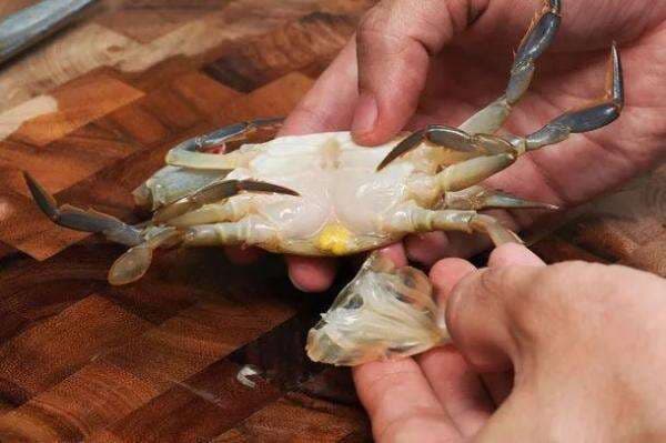 6 Cara Membersihkan Kepiting Segar Dengan Baik Dan Benar Sebelum Dimasak 6 Cara Membersihkan Kepiting Segar Dengan Baik Dan Benar Sebelum Dimasak