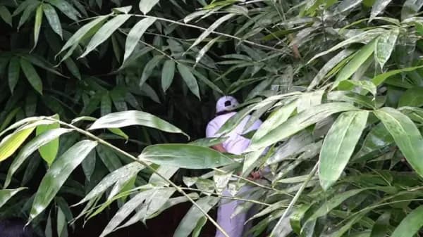 Darel Gaisan Rafasa Hilang Misterius saat Bermain di Halaman Rumah, Dedi Mulyadi Sampai Merinding Mencari Jejaknya Darel Gaisan Rafasa Hilang Misterius saat Bermain di Halaman Rumah, Dedi Mulyadi Sampai Merinding Mencari Jejaknya