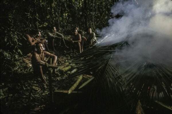 Ilmuwan  Ungkap Keberadaan Alam Roh di Pedalaman Hutan Amazon