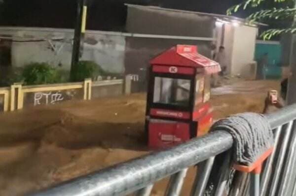 Viral! Gerobak Etalase Ayam Terbawa Arus Banjir Bandung