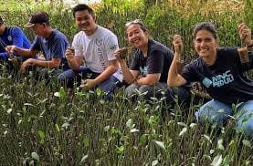 MNC Peduli Berikan CSR Bibit Mangrove, Petani Lampung Timur Berharap Kerja Sama Bisa Berlanjut