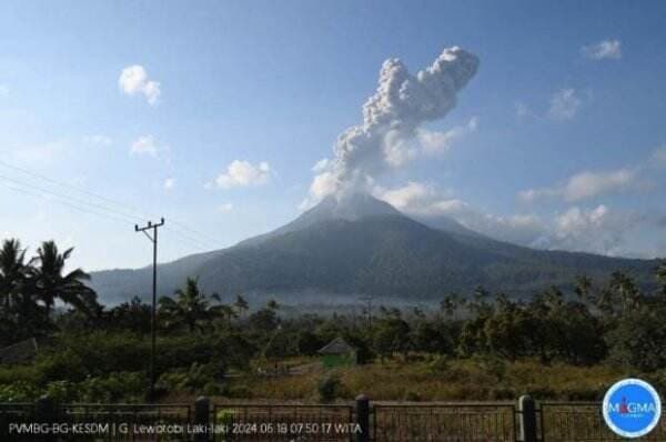 BNPB: Radius 7 Km dari Gunung Lewotobi Laki-Laki Harus Dikosongkan