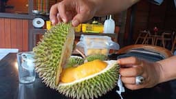 Panen Durian dan Alpukat di Kebun Resto Saoraja Depok, Ini Jenis dan Harganya