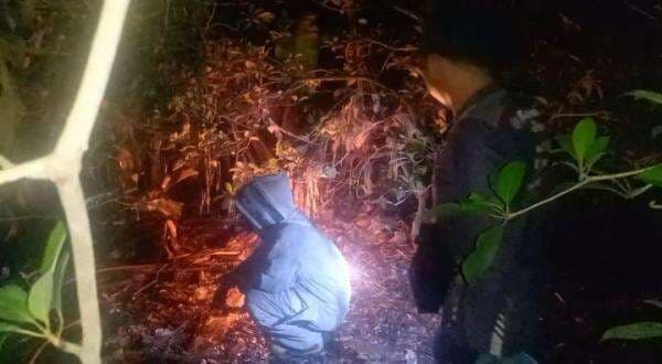 Tawon Ganas Serang Warga di Jombang, Tim Pemadam Kebakaran Musnahkan Sarangnya