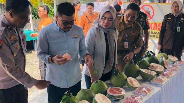 Festival Pamelo Jadi Etalase Jeruk Khas Magetan yang Siap Naik Kelas Festival Pamelo Jadi Etalase Jeruk Khas Magetan yang Siap Naik Kelas