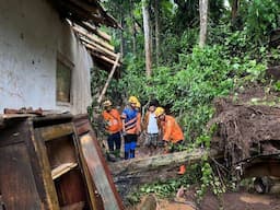 Angin Kencang, Pohon Tumbang Timpa Atap Rumah dan Musala