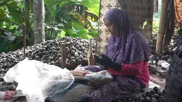 Camilan Kenyal dari Buah Aren, Begini Proses Pembuatan Kolang-Kaling di Desa Deudeul, Tasikmalaya