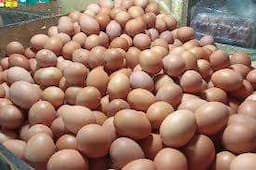 Fluktuasi Harga Pangan Hari ini, Beras dan Bawang Turun, Telur Ayam Ras Naik jadi Rp31.690 per kg