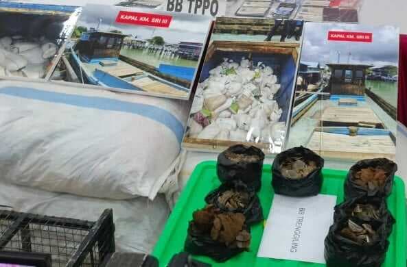 Upaya Penyelundupan Sisik Trenggiling Tujuan Vietnam Digagalkan di Batam