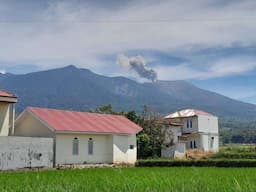 Gunung Marapi Erupsi Semburkan Abu Setinggi 800 Meter