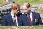 10 Fakta Pertikaian Pangeran William dan Harry yang Mengguncang Kerajaan Inggris