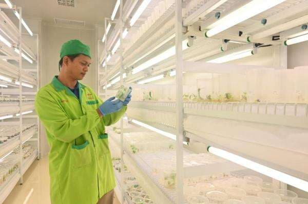 East West Seed (Ewindo) Perkuat Riset Hadapi Tantangan Industri Hortikultura East West Seed (Ewindo) Perkuat Riset Hadapi Tantangan Industri Hortikultura