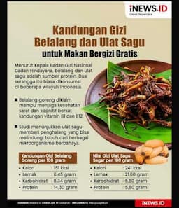 Tinggi Protein, Belalang dan Ulat Sagu Diproyeksikan Akan Masuk Daftar Menu Makan Bergizi Gratis!